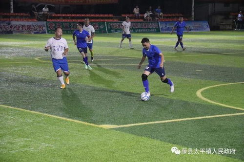 ufc直播在线观看张伟丽 封面图