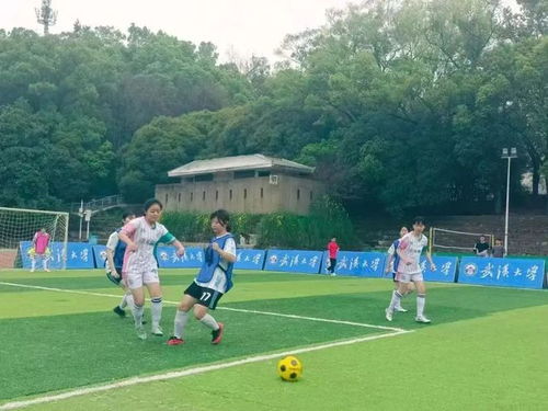哈兰德演砸!空门不进自己都笑了 德布劳内摊手