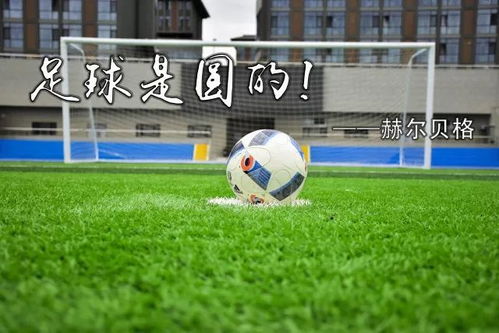 CBA：山东高速男篮双杀深圳队 主场收获两连胜