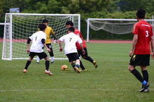 中超：各取一分 南通支云队1-1河南队