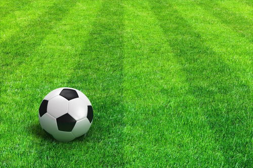 英超：绝杀逆转 曼联队客场2-1力克曼城队